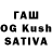 Галлюциногенные грибы Cubensis agnu tea