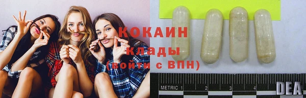 ПСИЛОЦИБИНОВЫЕ ГРИБЫ Абдулино